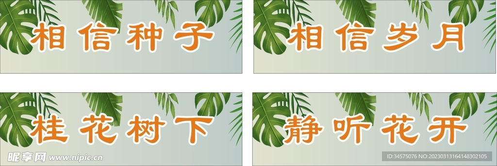 型芯种子