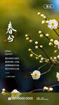 二十四节气之春分APP启动页