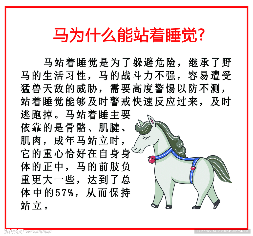 小学生科普 十万个为什么