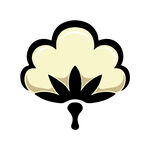 棉花