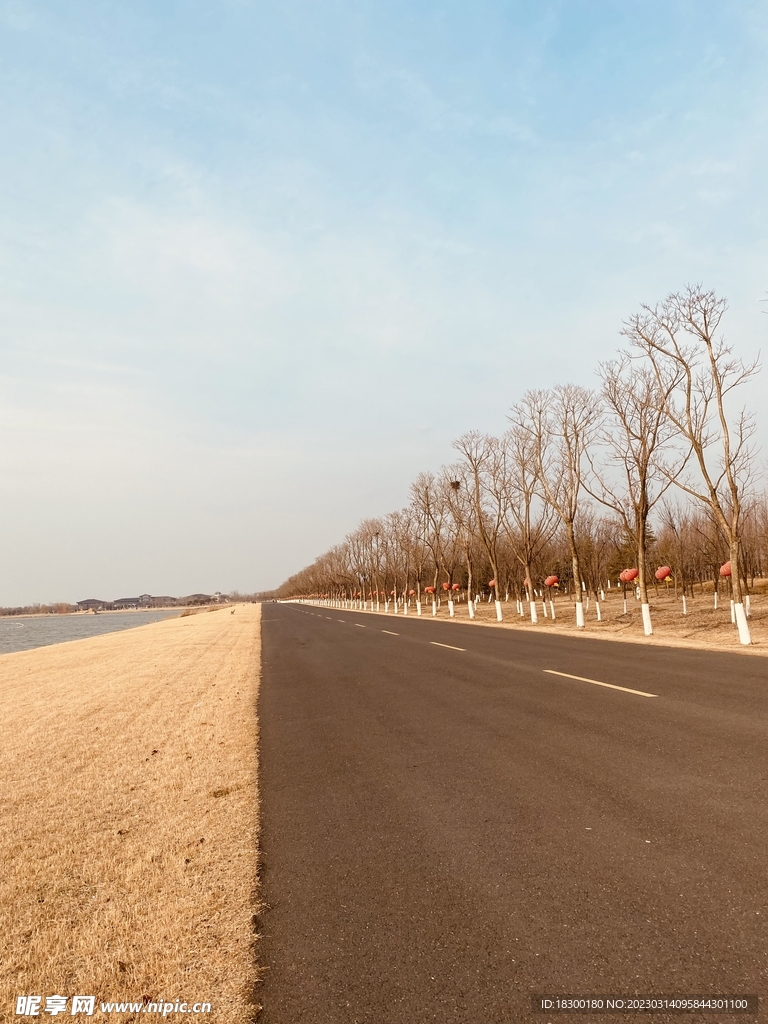 风景 马路