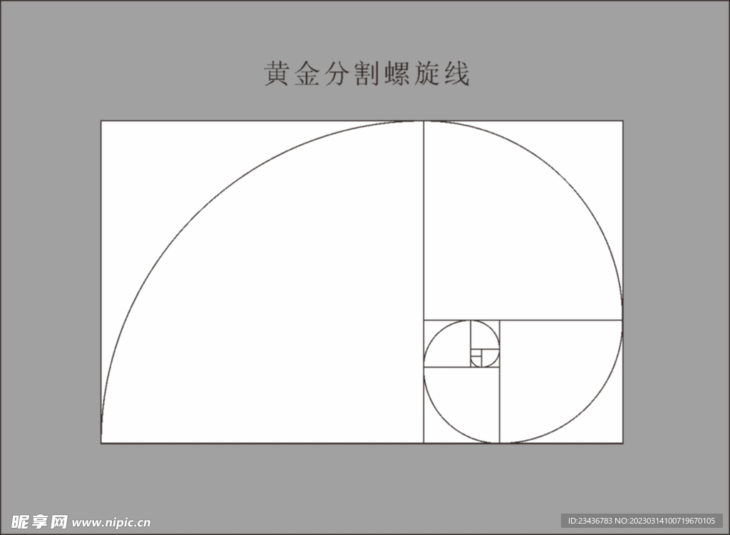 黄金比例螺旋线