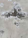 斑驳的墙面  