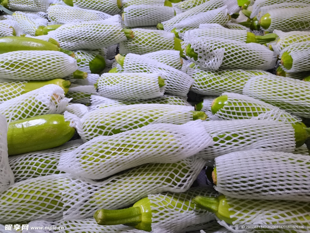 西葫芦