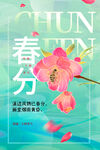 春分素材