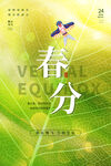 春分海报