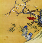 国画花鸟   工笔画
