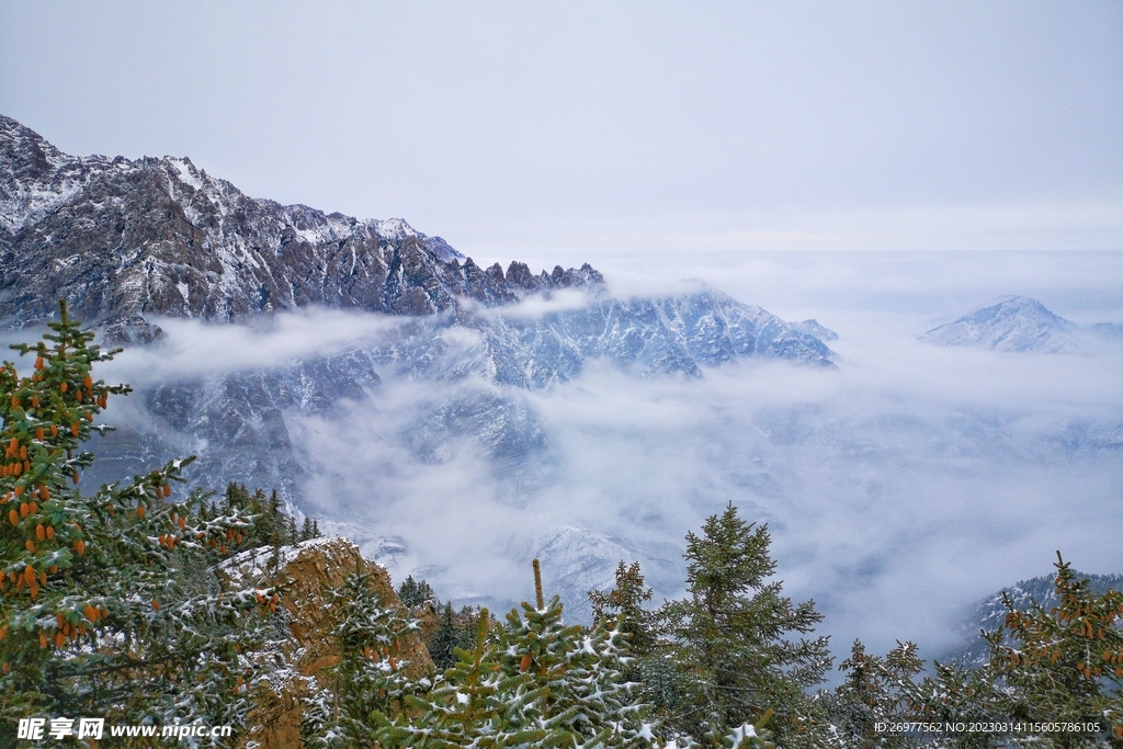 贺兰山