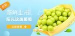 阳光玫瑰葡萄banner图