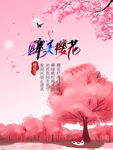 樱花季