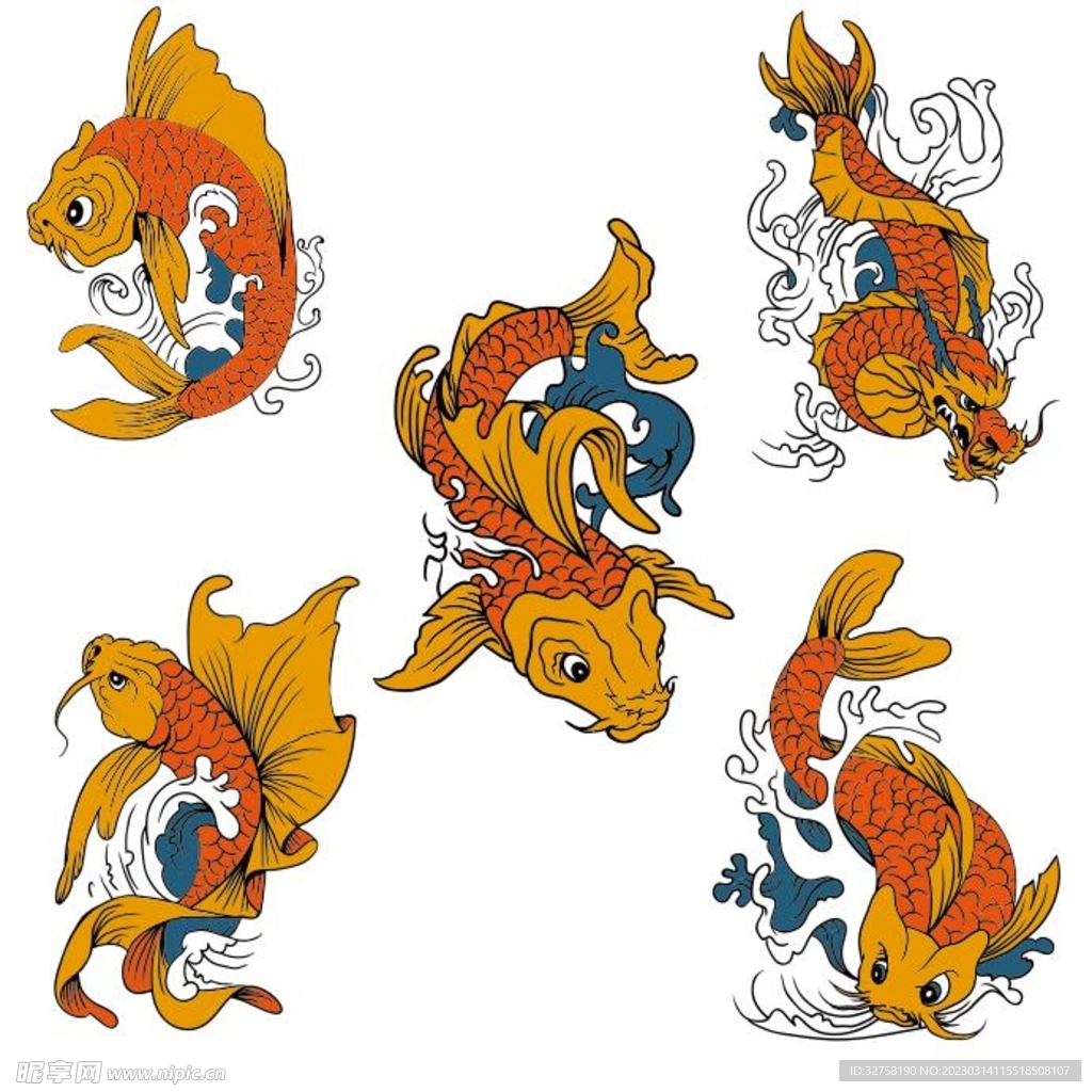 龙鱼 鲤鱼 锦鲤