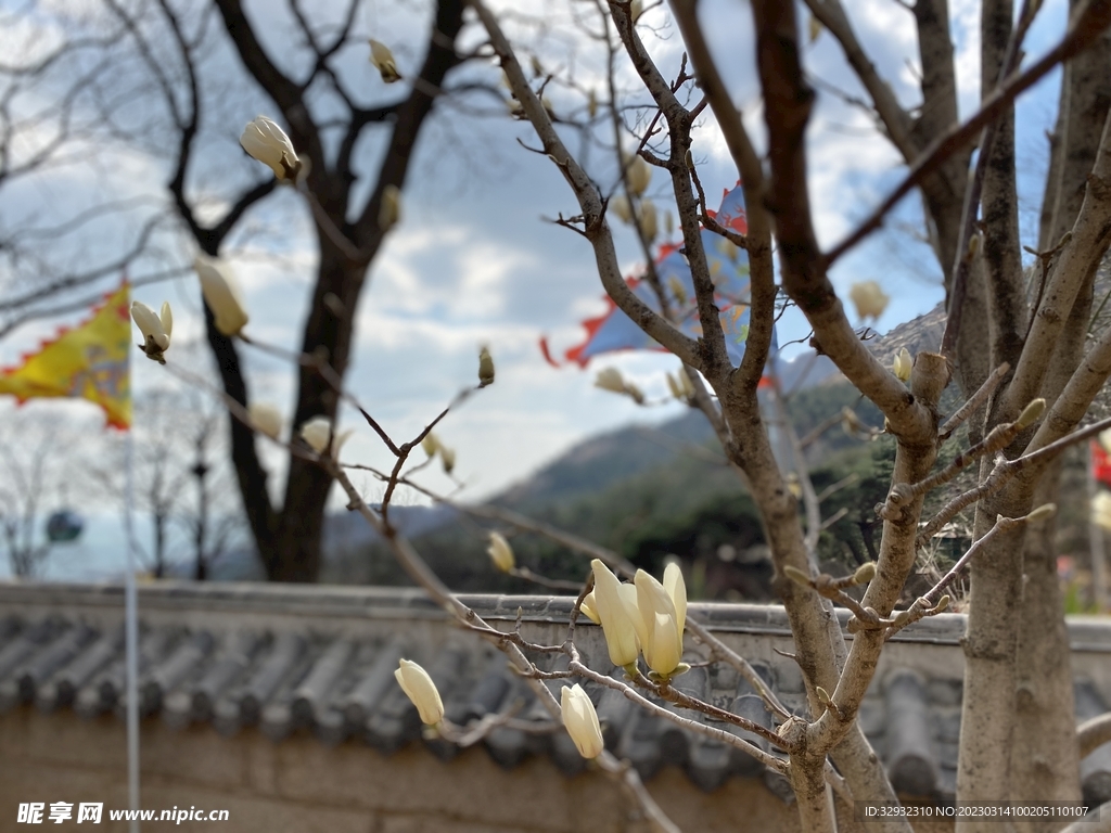 青岛崂山仰口景区图片