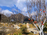 青岛崂山仰口景区