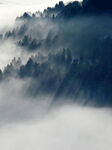 迷雾山