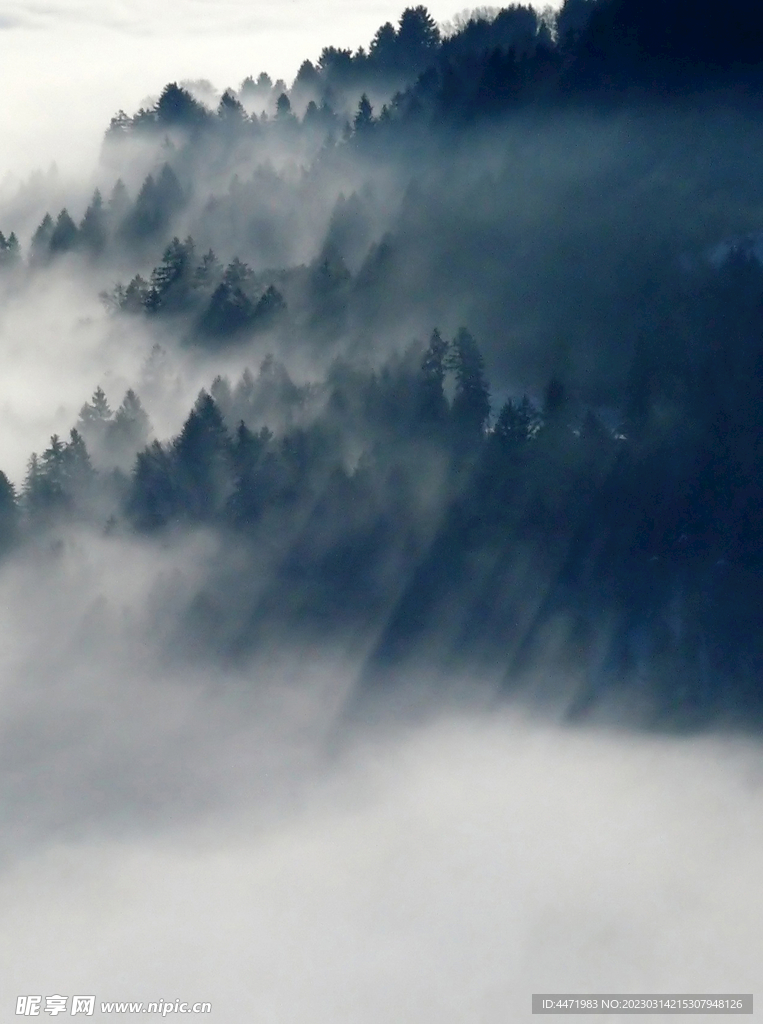 迷雾山