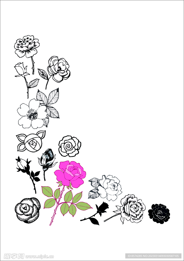 卡通花 