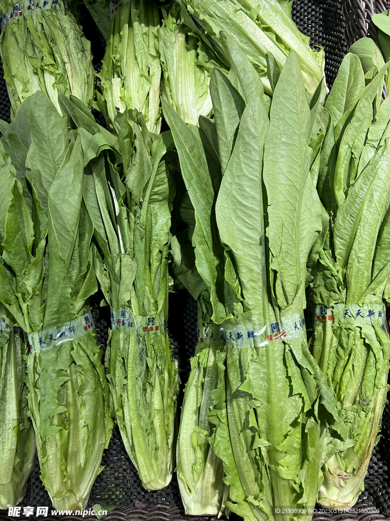 油麦菜