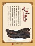 肉苁蓉 