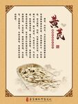 黄芪