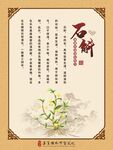 石斛