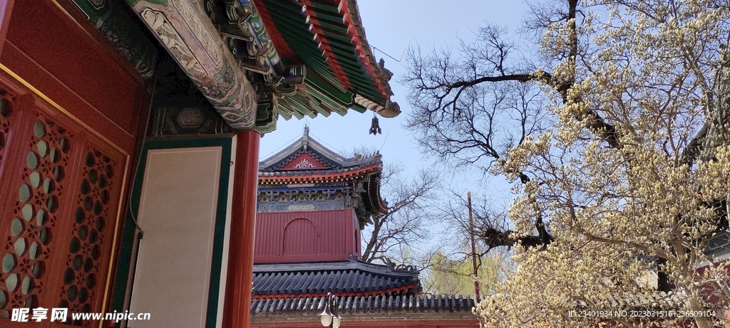 北京万寿寺中式古建筑