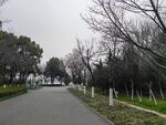 公园