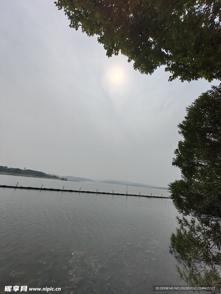 水面