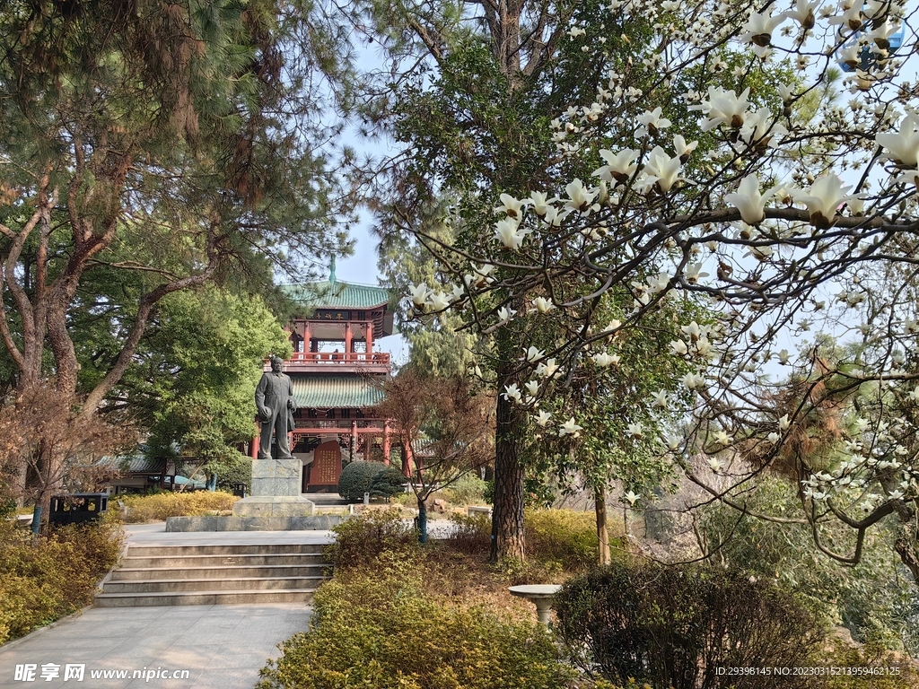 公园