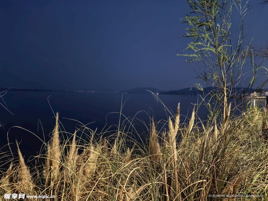 湖面夜景