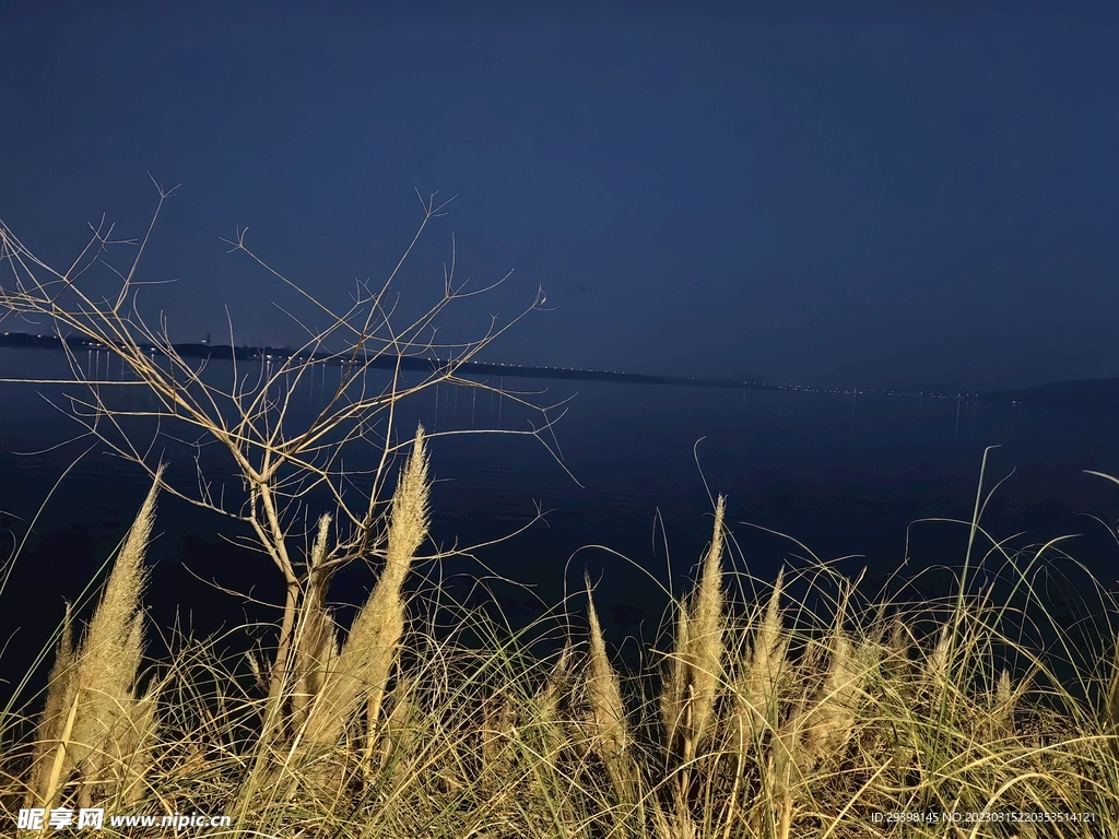 湖面夜景