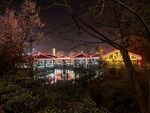 餐馆夜景