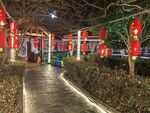 餐馆夜景