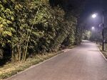 公园夜景