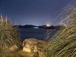 公园夜景