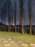 公园夜景