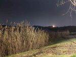 公园夜景