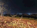 公园夜景