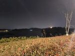 公园夜景
