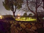 公园夜景