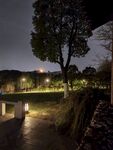 公园夜景