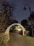 公园夜景