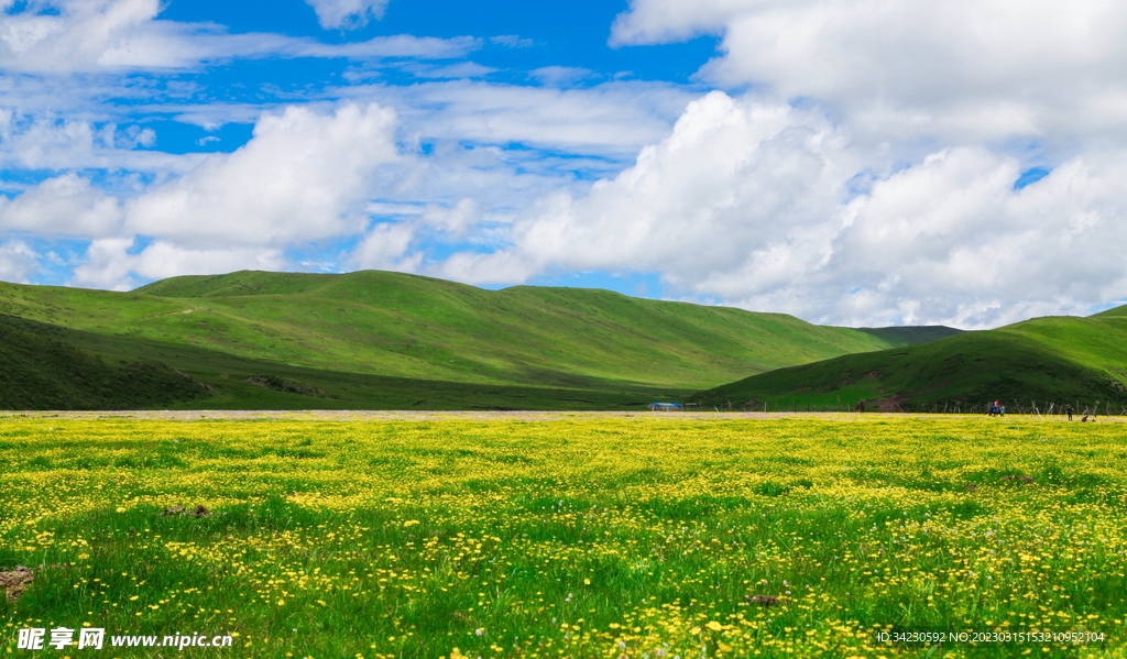 风景