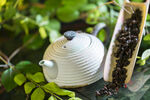 茶壶和茶叶