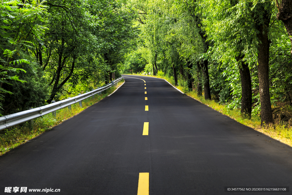 道路