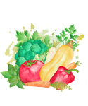 手绘蔬菜绿色蔬菜水彩插图免抠