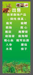 鹿产品