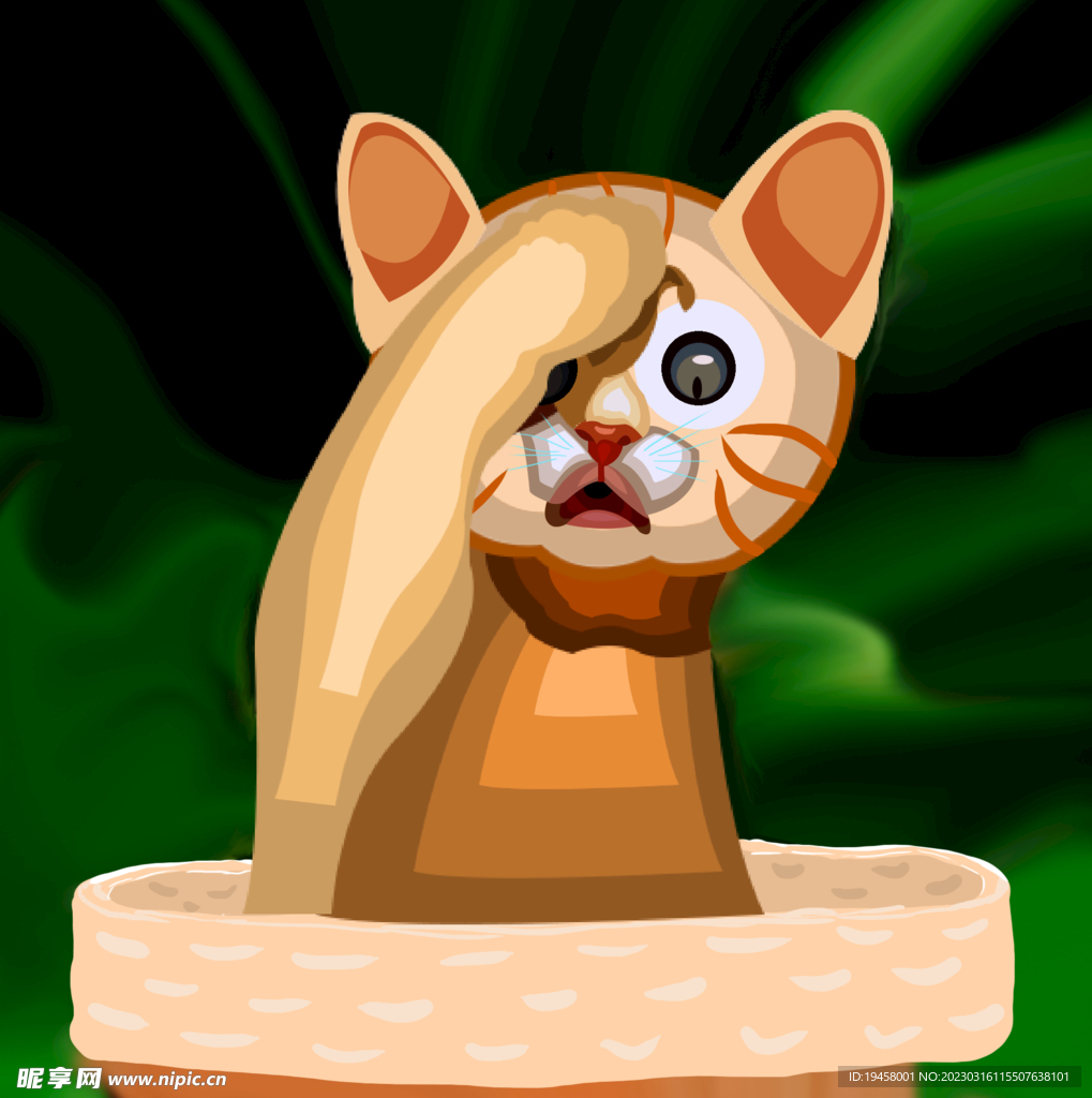 可爱猫咪