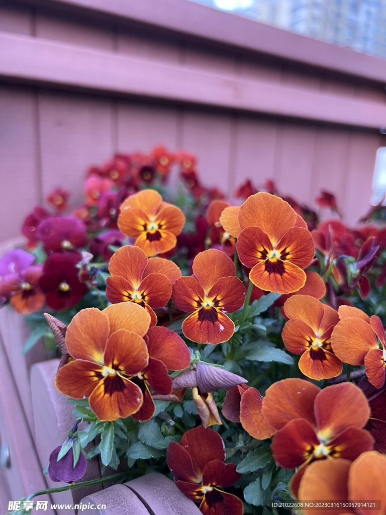 花