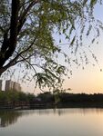 夕阳水边倒影