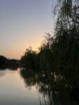 夕阳下的水边